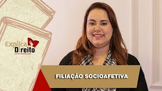 Explica Direito Filiação Socioafetiva  2019 [upl. by Ticknor253]